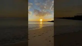 meditate by the ocean #sunrise #meditation
