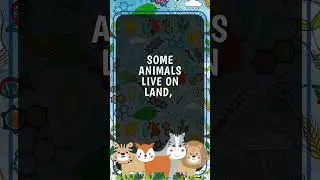 Animals 3rd Grade Eng Lesson