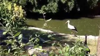 Vigozoo, el zoo de Vigo.