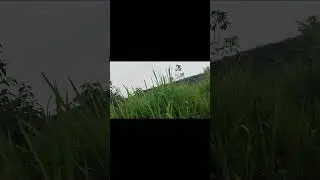 ADVENT OIL FIELD SERVICE||SOYA GIRL||