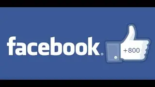 DE BRON WONEN - 800 FACEBOOK LIKES