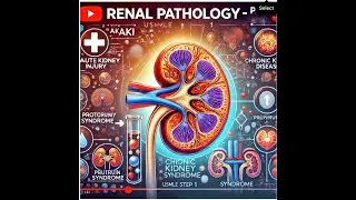 Renal I: Nephron Structure & Function, Kidney  Embryology and Physiology