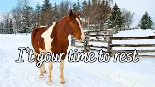 Feeling Overwhelmed? Take a 2 Min Break | Uplifting Music | Positive Thoughts, No Talking