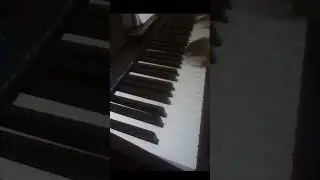 Cycles- Geometry dash on piano #piano #tetristheme #coffindance