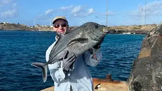 Fishing My Way Home &ndash;  Ascension Island Fishing (Video 101)