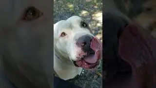 Savy 76433 eats treats