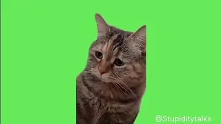 Meme only legends can understand #trending 