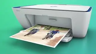 МФУ HP 2600 серии.