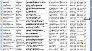 USA & UK Email Mailing Address List Business Management Consultants
