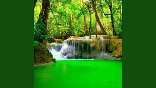 Relaxing Music (Nature Sounds)