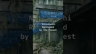 都市の痕跡は自然の奥へと飲み込まれていく。 #postapocalypse #lostcity #silentcity #ruins