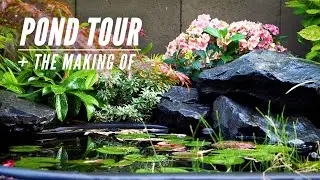 1-Year building MINI POND