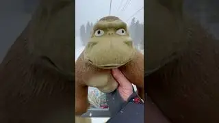 Squishy Monkey Thrown Off a Chair Lift 🙉