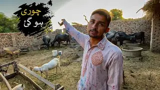Chori Ho Geyi 😱😱 Aur kitne Ka Nuksan Hua? || Usama Bashir Vlog