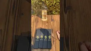 Which one? Partisan Spear? #eldenring #eldenringweapon #unboxing #unboxingvideos #4k