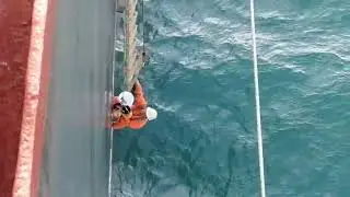 ship's plimsoll line marking #safetyfirst #sealife #viral