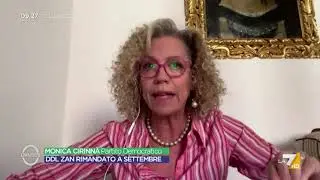 Ddl Zan - Cirinnà: 