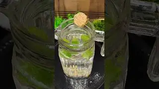 Body Detoxification Drink for Gas & Bloating #detox #health #homeremedy