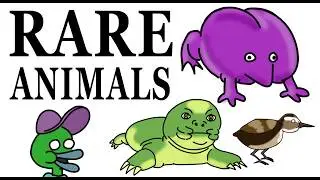 Endemic Animals