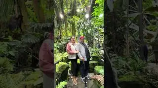 What&rsquo;s inside Amazon Spheres?? #thingstodoinSeattle #amazonspheres #seattle #washington