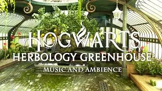 Herbology Greenhouse at Hogwarts - Harry Potter Music & Hogwarts Ambience & Soft Music
