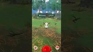 Shiny costume Eevee✨️