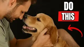 5 Things Your Dog Will ALWAYS Remember