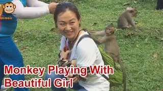 Monkey Playing With Beautiful Girl - Cambo Monkey Living 2019