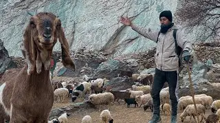 Life in Very Remote Area in Winter Season | Gilgit Baltistan of Pakistan | Kamran Viallge Vlogs