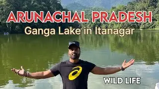 Arunachal pardesh || Ganga Lake Itanagar || forest life and tribe || wild life 