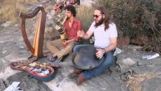 Wallace Dragons / Play Hang Drum