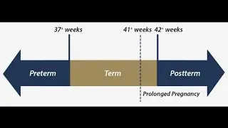 What is preterm, term and post term? 