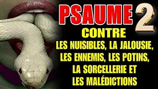 D&Eacute;COUVREZ LA PUISSANCE DU PSAUME 02 CONTRE LA MAGIE, LES ENNEMIS, L'ENVIE - Prosp&eacute;rit&eacute;