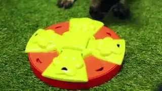 The Interactive Paw Feeder for Dogs from RSPCA World for Pets