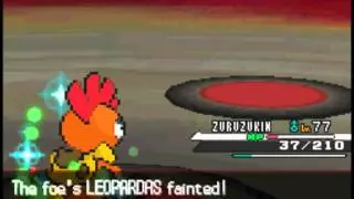 Pokemon Black Elite Four Rematch #2: Giima