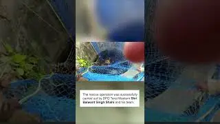 JASPUR UTTARAKHAND LEOPARD RESCUE