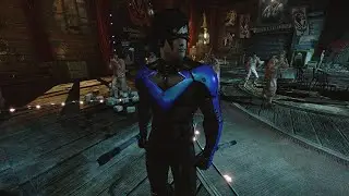 How a Lore Accurate Nightwing Would Fight (Vol.4)