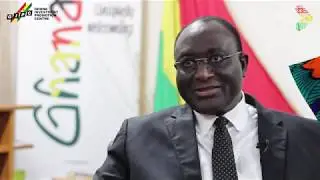 INVESTMENT POTENTIALS IN GHANA'S TEXTILES SECTOR
