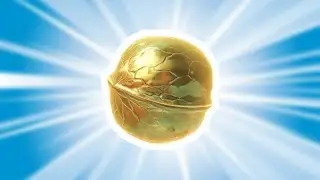 The Golden Nut