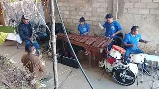 Marimba orquesta ecos del trópico en cuyamecalco villa de Zaragoza 28/12/25