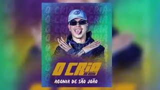 O CRIA NO BEAT AGONIA DE S&Atilde;O JO&Atilde;O