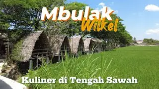 Mbulak Wilkel Wisata Kuliner di Tengah Sawah Jogja