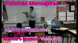 Palomas Mensajeras,,el entrenamiento  video #12