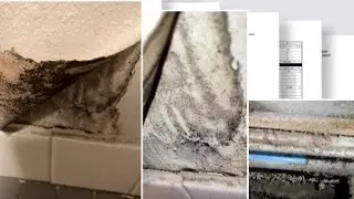 Texas A&M student alleges mold exposure in dorm caused health crisis