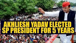 Akhilesh Yadav re-elected as Samajwadi Party's national president for a five-year term | Oneindia