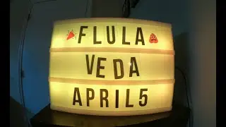 My DJ Flula Borg Story (VEDA 5)