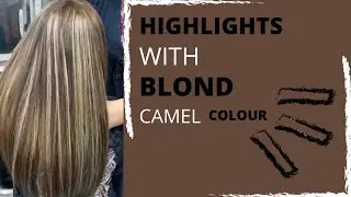 HIGHLIGHTS WITH BLOND CAMEL COLOUR || BUSHRA’S BEAUTY SALON