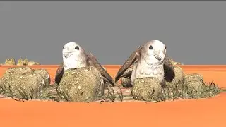 New two ho Munda 3D animation kahani //1. Tuyu ondo Gunduri Hon king// 2 . Lilli ondo Putam oye