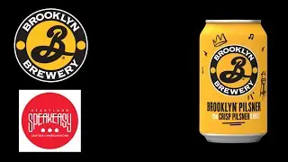 Reviewing a beer at Heartland SpeakEasy Restaurant! Brooklyn Brewery Pilsner! #brooklynbrewery