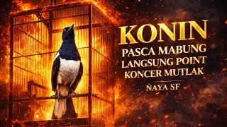 🔴Full Ngedur DUDUK MANIS Kacer KONIN Pasca Mabungy Langsung DOBLE WINNER🔥